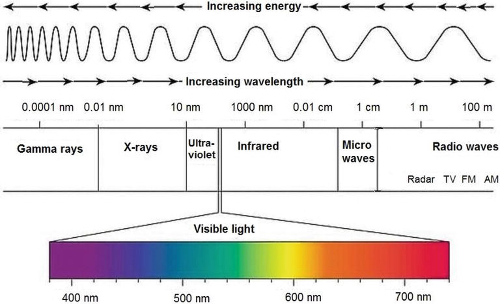 Spectrum