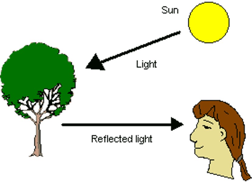 Viewing Object